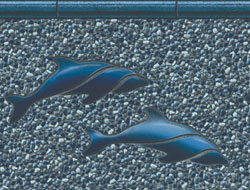  Dolphin / Royal Seabrook