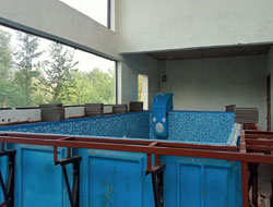 Fountain Swimming Pool Manufacturer in Delhi